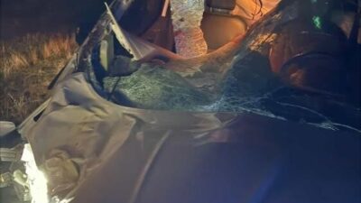 Muş'taki Kızılağaç yolunda, hafif ticari araç yoluna aniden çıkan ata