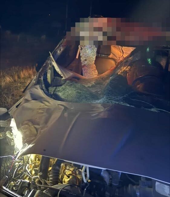 Muş’ta Ticari Araç Atla Çarpıştı: İki Yaralı, Bir At Telef Oldu Muş'taki Kızılağaç yolunda, hafif ticari araç yoluna aniden çıkan ata