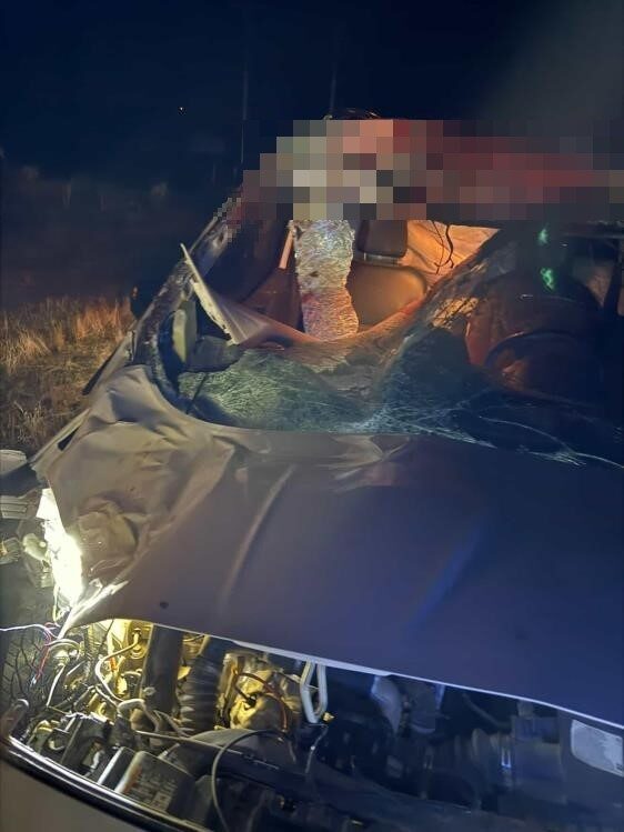 Muş’ta Ticari Araç Atla Çarpıştı: İki Yaralı, Bir At Telef Oldu