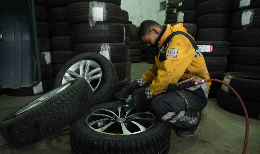Muş’ta sokak köpeklerinden kaçan bir tavuk, lastikçiye sığınarak kurtarıldı. Muş'ta bir tavuk, saldıran sokak köpeklerinden kaçarak lastikçi Mesut Tuncer'in