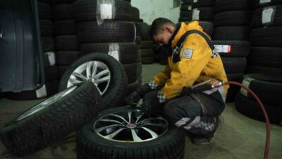 Muş'ta bir tavuk, saldıran sokak köpeklerinden kaçarak lastikçi Mesut Tuncer'in