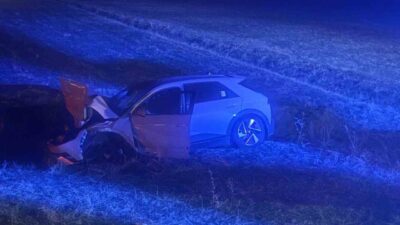 Muş'un Hasköy ilçesinde, seyir halindeki bir otomobil ani bir şekilde