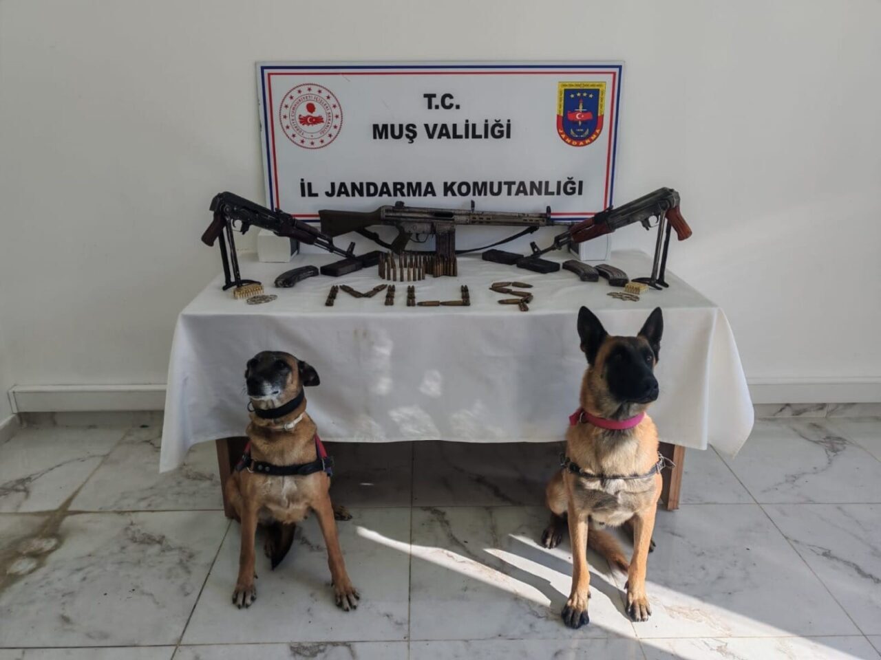 Muş'ta Jandarma ekipleri, Y.S.'nin evinde ruhsatsız silah bulundurduğunu tespit ederek