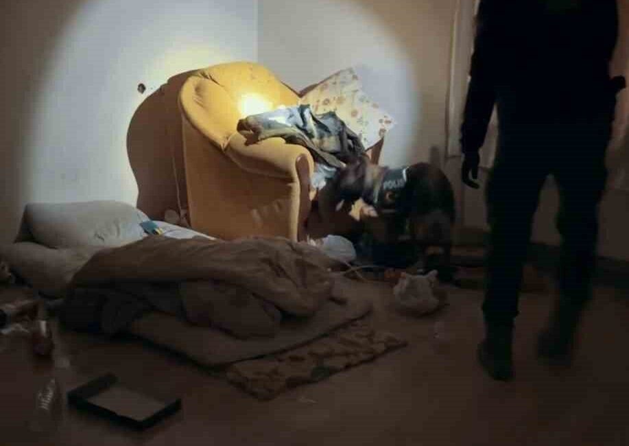 Muş’ta Eş Zamanlı Uyuşturucu Operasyonu: 10 Adreste Arama, 2 Tutuklama! Muş İl Emniyet Müdürlüğü, 10 adreste eş zamanlı uyuşturucu operasyonu