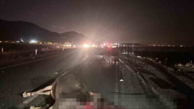 Muş-Bitlis karayolunda, Hasköy ilçesinde iki ineğe çarpan bir otomobile, arkadan