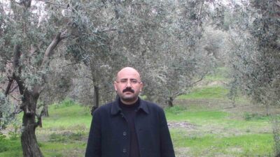 Mersin'in Mut ilçesinde zeytin hasat sezonu devam ediyor. Bu yıl