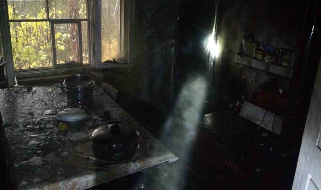 Karabük’ün Safranbolu ilçesinde Osman Mutlu’ya ait evin mutfağında çıkan yangın,