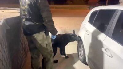 Samsun'da polis, narkotik köpeği Tony'nin tepkisi üzerine durdurduğu araçta uyuşturucu
