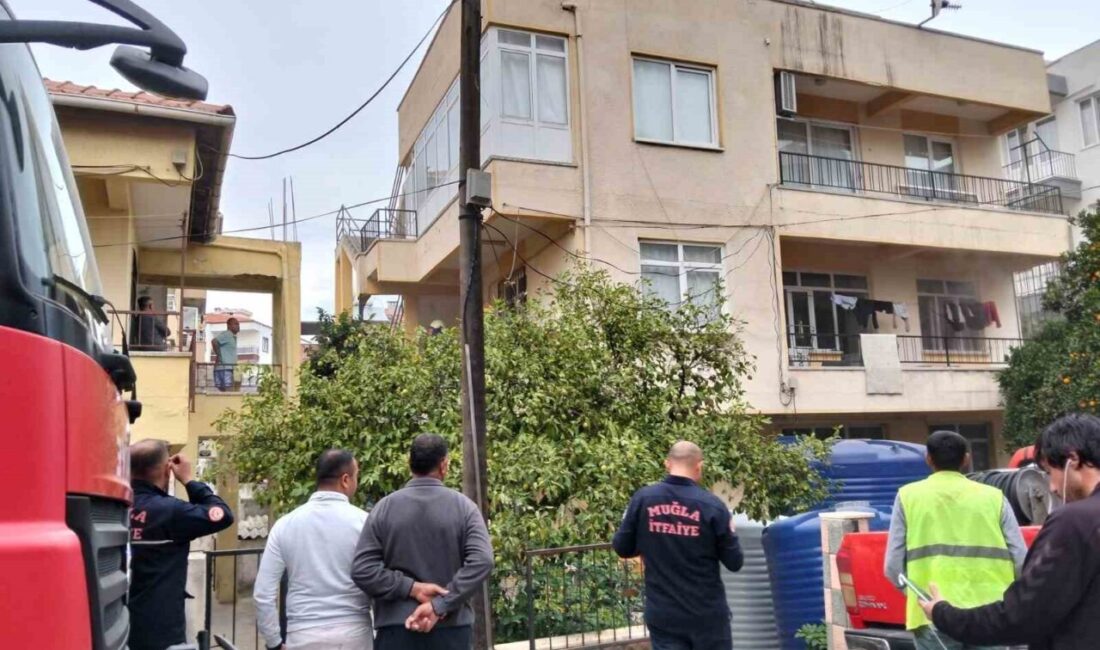 Milas’taki Apartman Yangınında İki Kedi Hayatını Kaybetti Muğla'nın Milas ilçesinde bir apartmanda ocakta unutulan yemek nedeniyle yangın