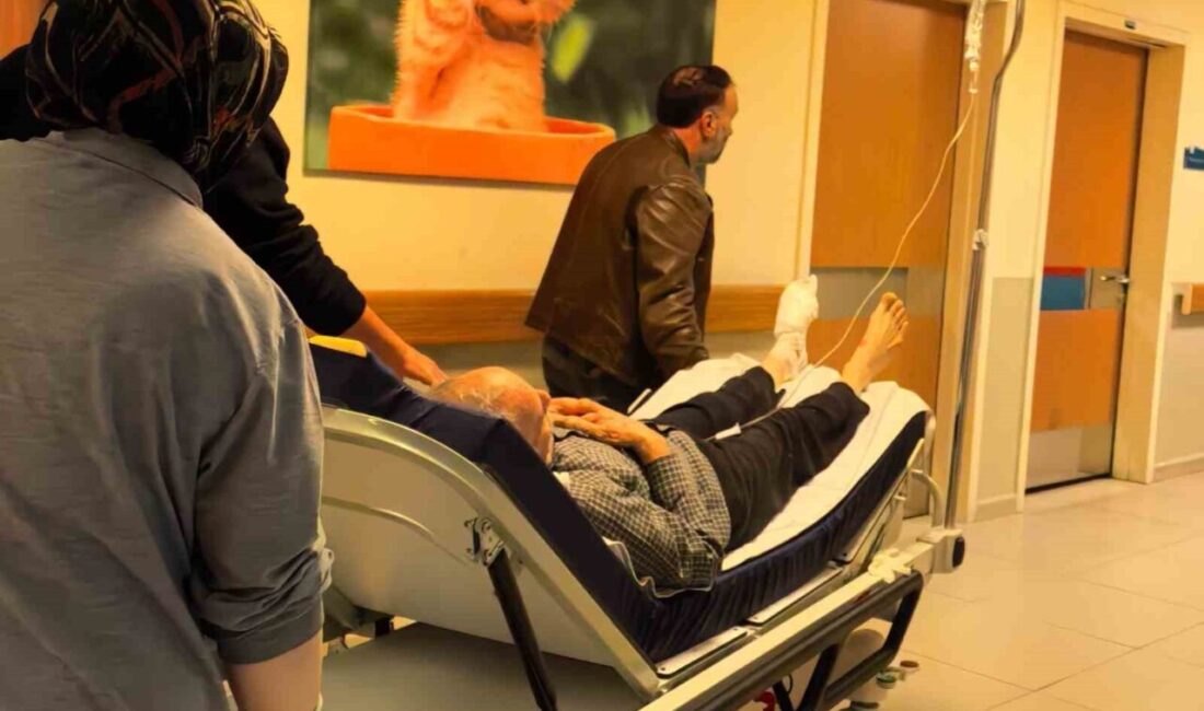 İnegöl’de Motorlu Testere İle Odun Keserken Ayağını Kesen 81 Yaşındaki Adam Hastaneye Kaldırıldı Bursa'nın İnegöl ilçesinde İslam G. (81), odun keserken motorlu testere