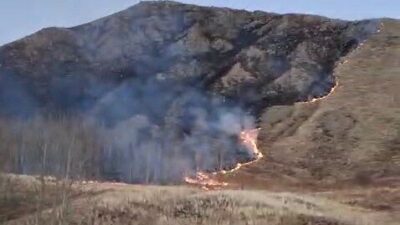 Erzurum'un Oltu ilçesindeki Süleymanlı Mahallesi'nde çıkan örtü yangını, jandarma, Oltu