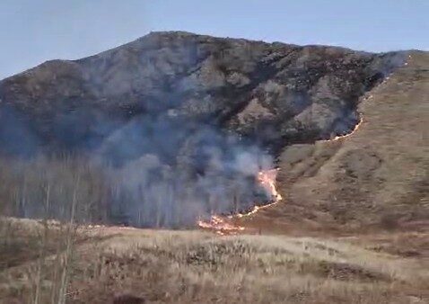 Erzurum'un Oltu ilçesindeki Süleymanlı Mahallesi'nde çıkan örtü yangını, jandarma, Oltu