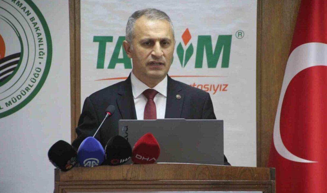 Ordu'da, arıcılara yönelik 'Sağlıklı Arı, Sağlıklı Yaşam' eğitimi düzenlendi. İl