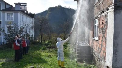 Ordu İl Tarım ve Orman Müdürü Bayram Ay, kahverengi kokarca