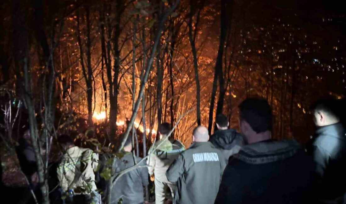 Ordu'nun Kumru ilçesindeki ormanlık alanda çıkan yangın, fındık bahçesindeki otları