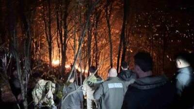 Ordu'nun Kumru ilçesindeki ormanlık alanda çıkan yangın, fındık bahçesindeki otları