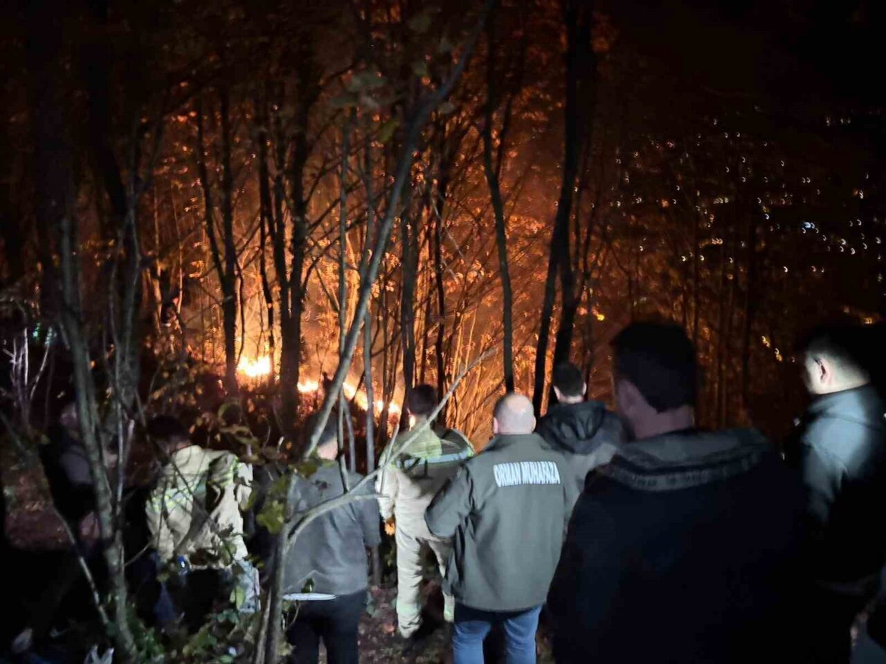 Ordu'nun Kumru ilçesindeki ormanlık alanda çıkan yangın, fındık bahçesindeki otları