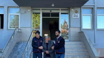 Ordu'da jandarma ekipleri, 1-28 Kasım tarihleri arasında düzenlediği operasyonlarda aralarında