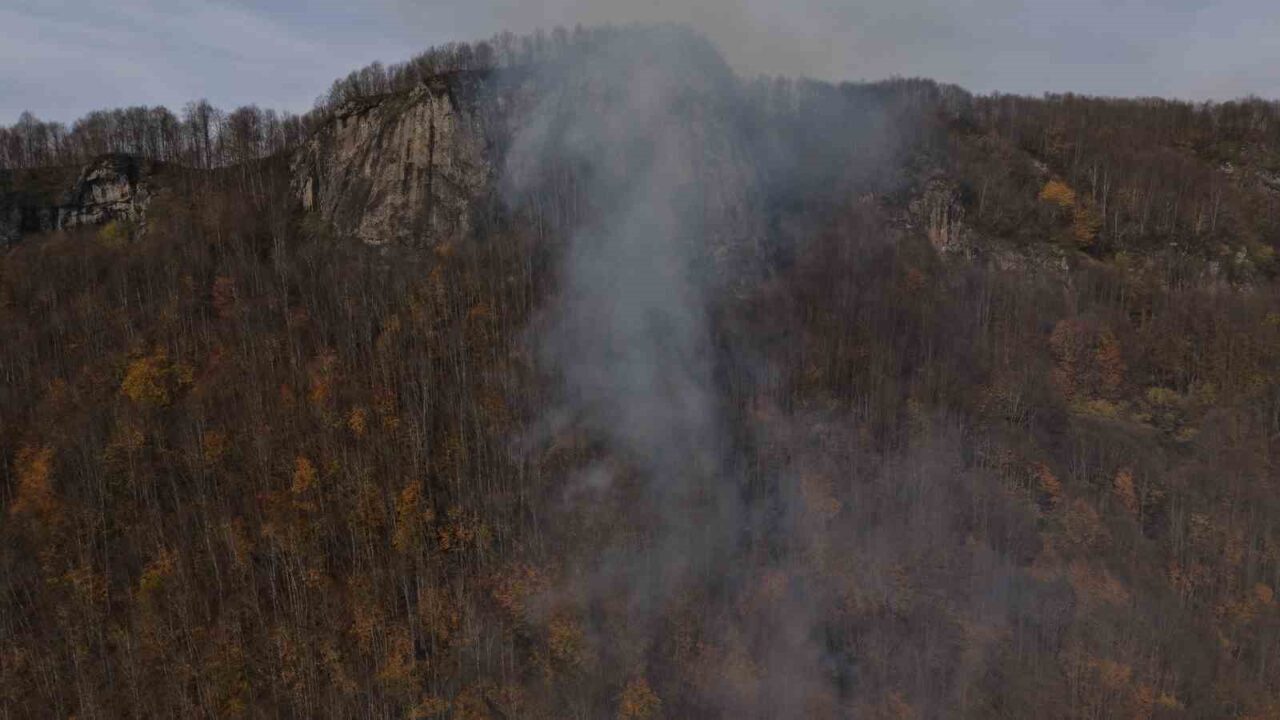 Ordu'nun Kumru ilçesinde ormanlık alanda çıkan yangın, yaklaşık bir gün