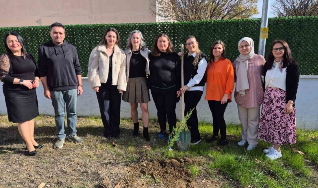 Bilecik’in Osmaneli ve Gölpazarı ilçelerinde Temmuz ayında meydana gelen orman