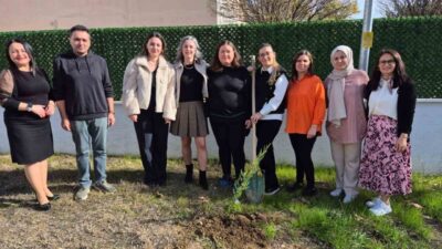 Bilecik’in Osmaneli ve Gölpazarı ilçelerinde Temmuz ayında meydana gelen orman