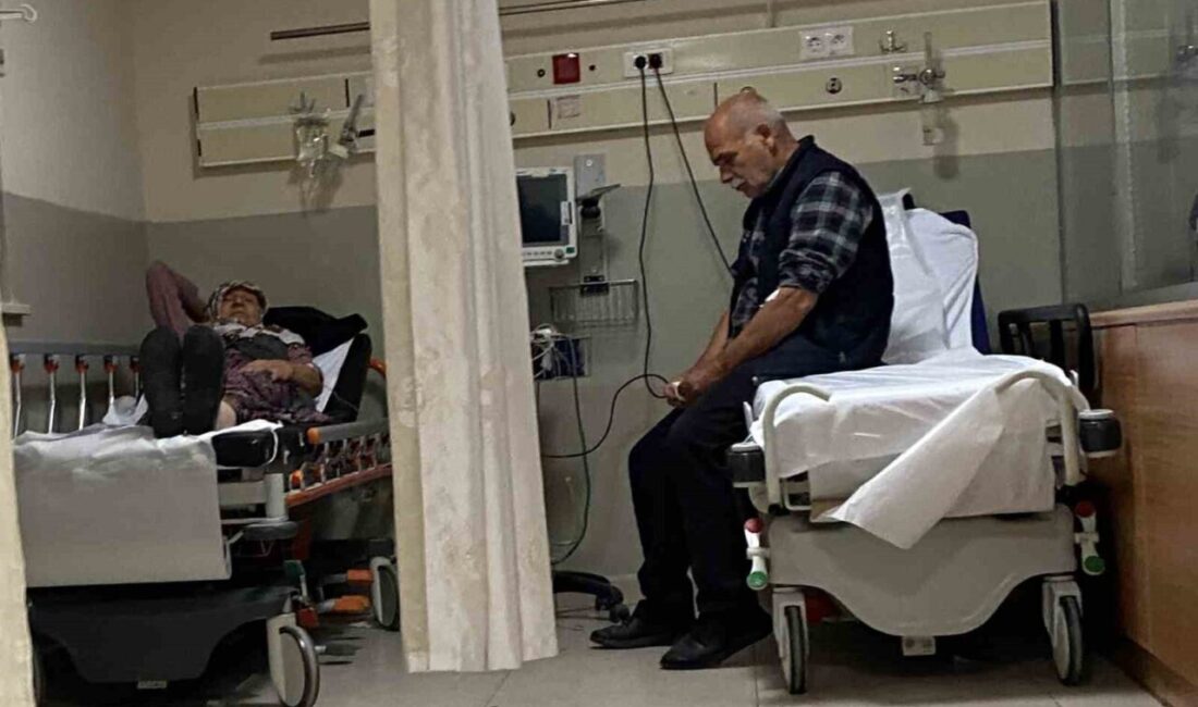 Bursa’da Mantar Zehirlenmesi: 7 Kişi Hastaneye Kaldırıldı Bursa’nın İnegöl ilçesinde ormandan topladığı mantarları yiyen 7 kişi, zehirlenerek