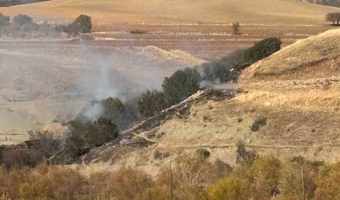 Adıyaman'ın Besni ilçesindeki Taşlıyazı Köyü yakınlarındaki ormanlık alanda çıkan yangın,
