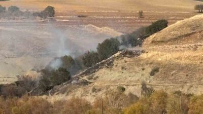 Adıyaman'ın Besni ilçesindeki Taşlıyazı Köyü yakınlarındaki ormanlık alanda çıkan yangın,