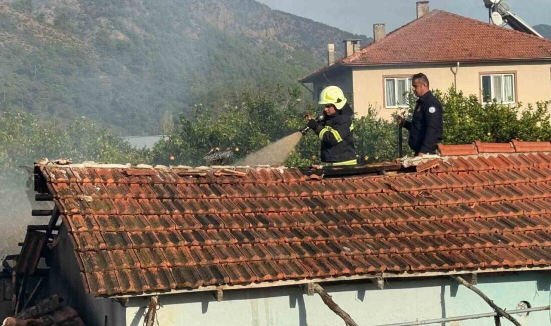 Muğla’nın Ortaca ilçesinde, Çaylı Mahallesi'nde çıkan yangında bir ahır tamamen