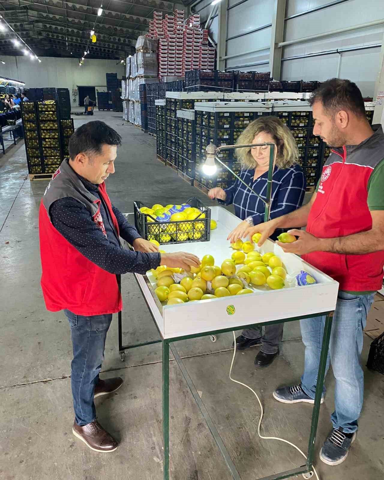 Muğla'nın Ortaca ilçesinde, Avrupa Birliği ülkeleri, Kuzey Kıbrıs Türk Cumhuriyeti