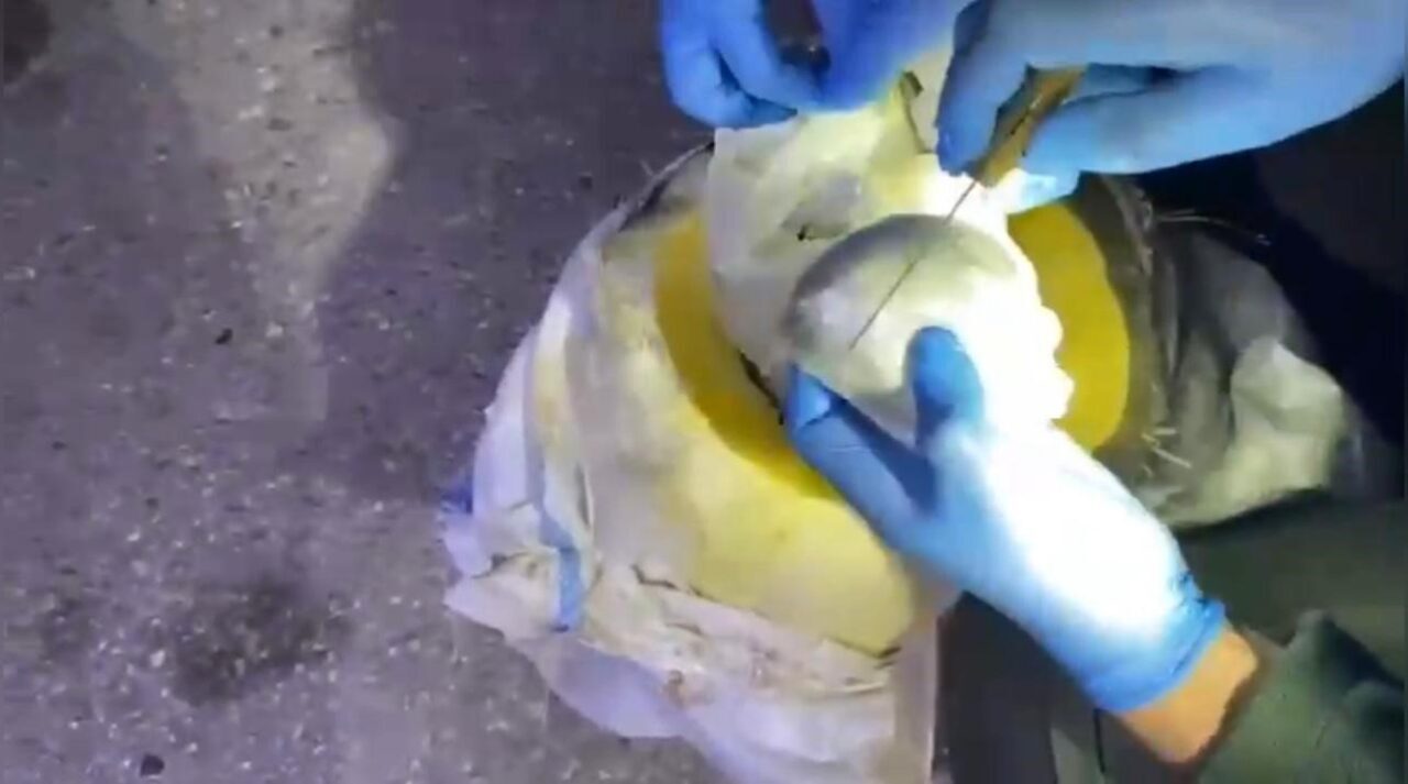 Osmaniye'de yapılan yol kontrolünde, bir yolcu otobüsünün bagajında bal kabağına