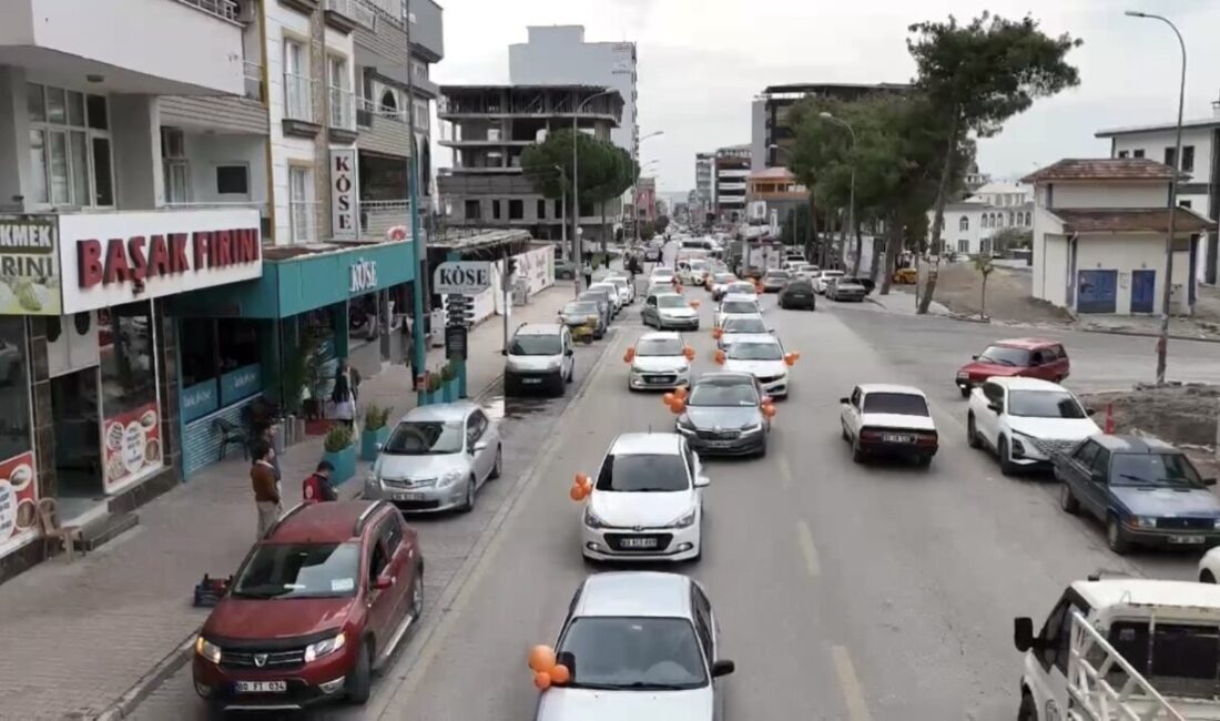 Osmaniye'nin Düziçi ilçesinde, Kadına Yönelik Şiddete Karşı Uluslararası Mücadele Günü