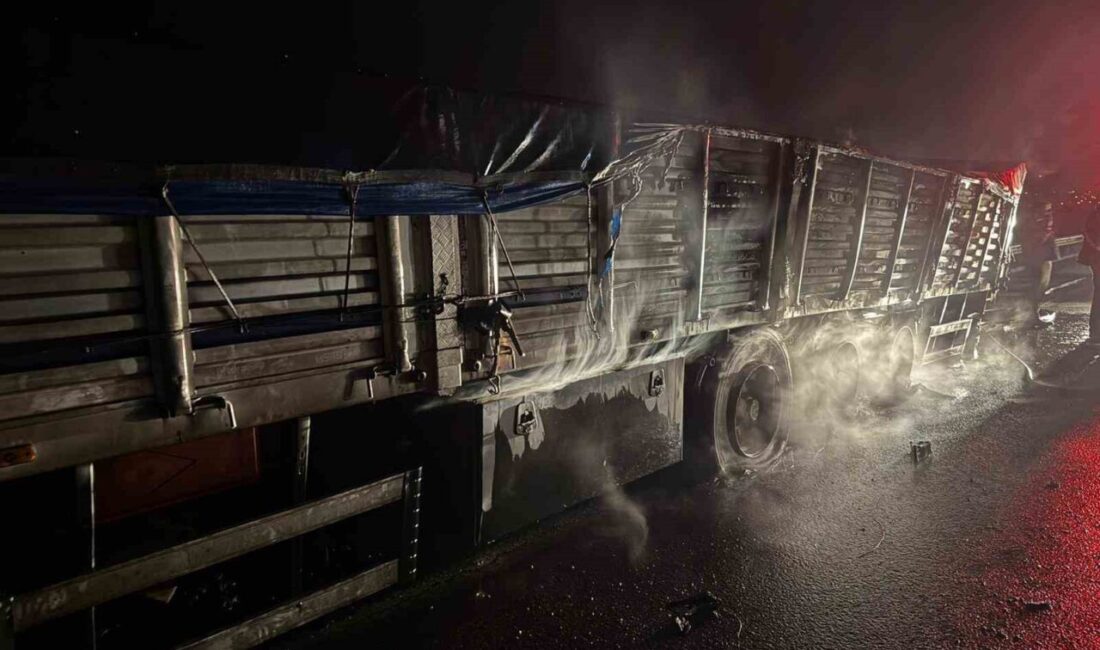 Düziçi’nde Mısır Yüklü Tırda Yangın Çıktı, İtfaiye Ekipleri Hızla Müdahale Etti Osmaniye'nin Düziçi ilçesinde TAG Otoyolu'nda mısır yüklü bir tırın dorsesinde