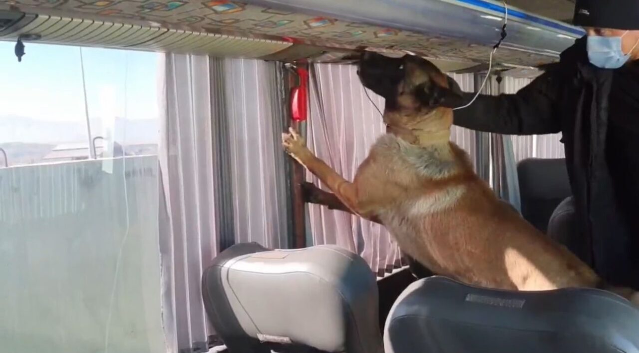 Ağrı’da yapılan uygulamada, yabancı plakalı bir otobüsün bagajındaki yangın tüplerine