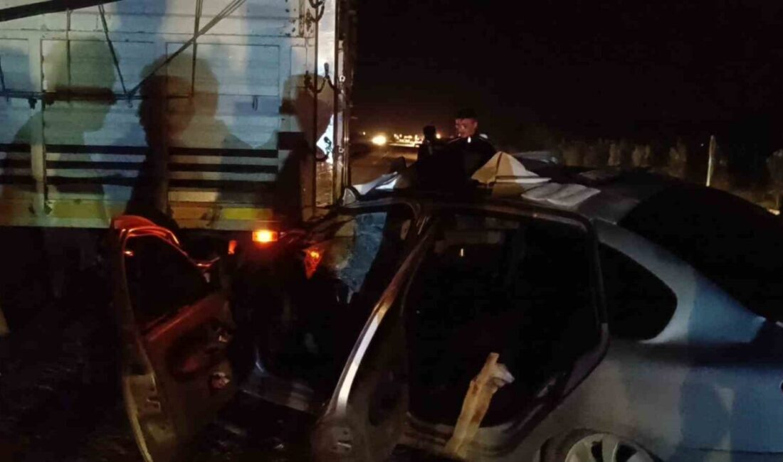 Adana'nın Kozan ilçesinde bir otomobilin kamyona çarpması sonucu İ.P. ve