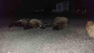 Şırnak'ta R.Ö. isimli sürücünün otomobili, Dündar Page Tüneli yakınlarında bir