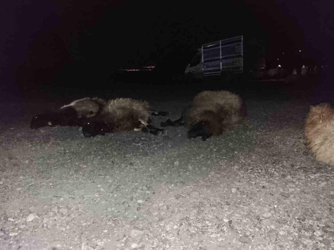 Şırnak'ta R.Ö. isimli sürücünün otomobili, Dündar Page Tüneli yakınlarında bir