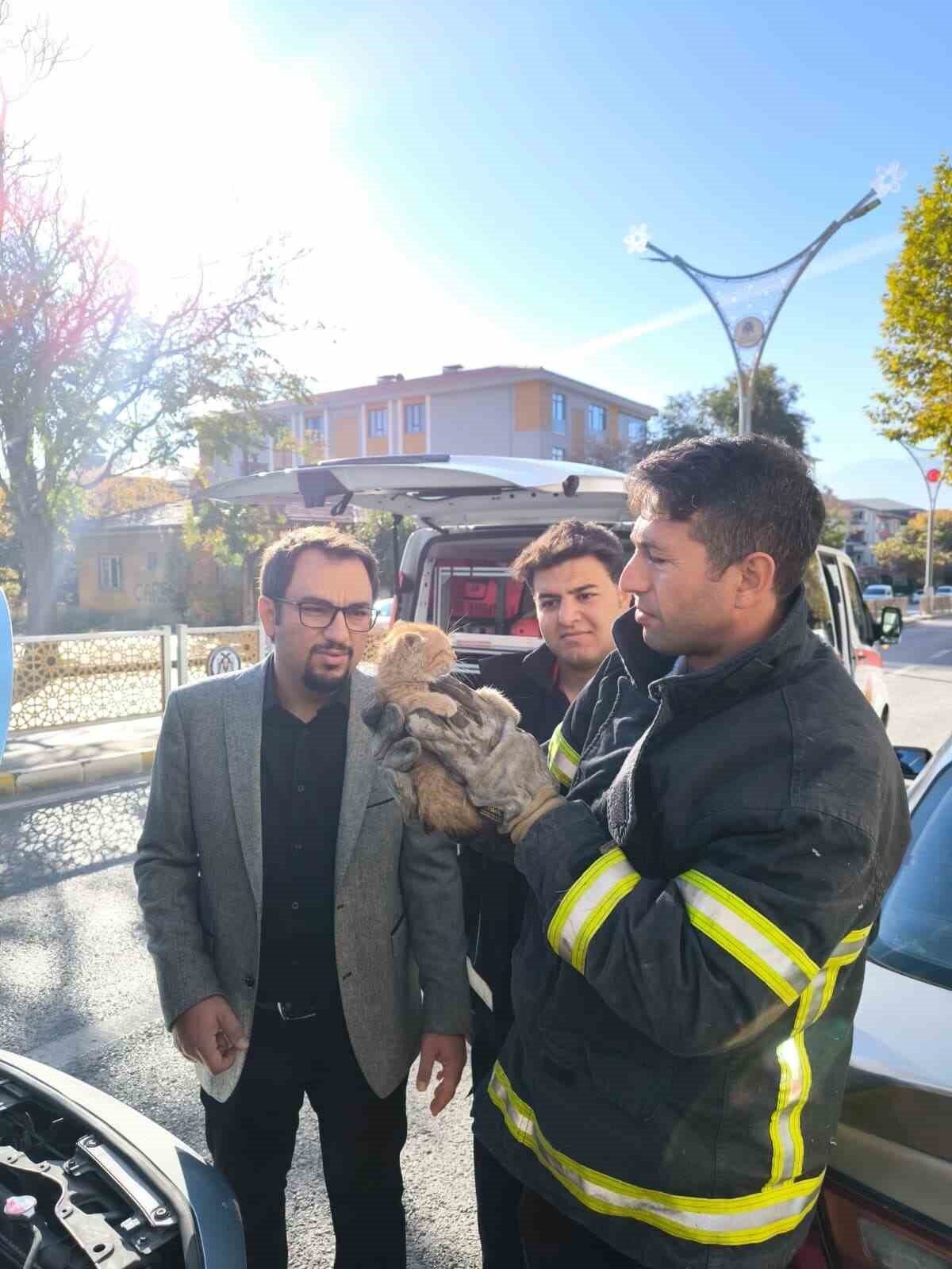 Erzincan’da Sıkışan Yavru Kedi, İtfaiye Ekiplerinin Çabasıyla Kurtarıldı
