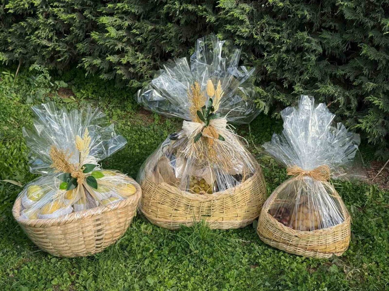 Papa 14. Leo, Türkiye ziyareti sırasında İznik’te Bursa'nın coğrafi işaretli