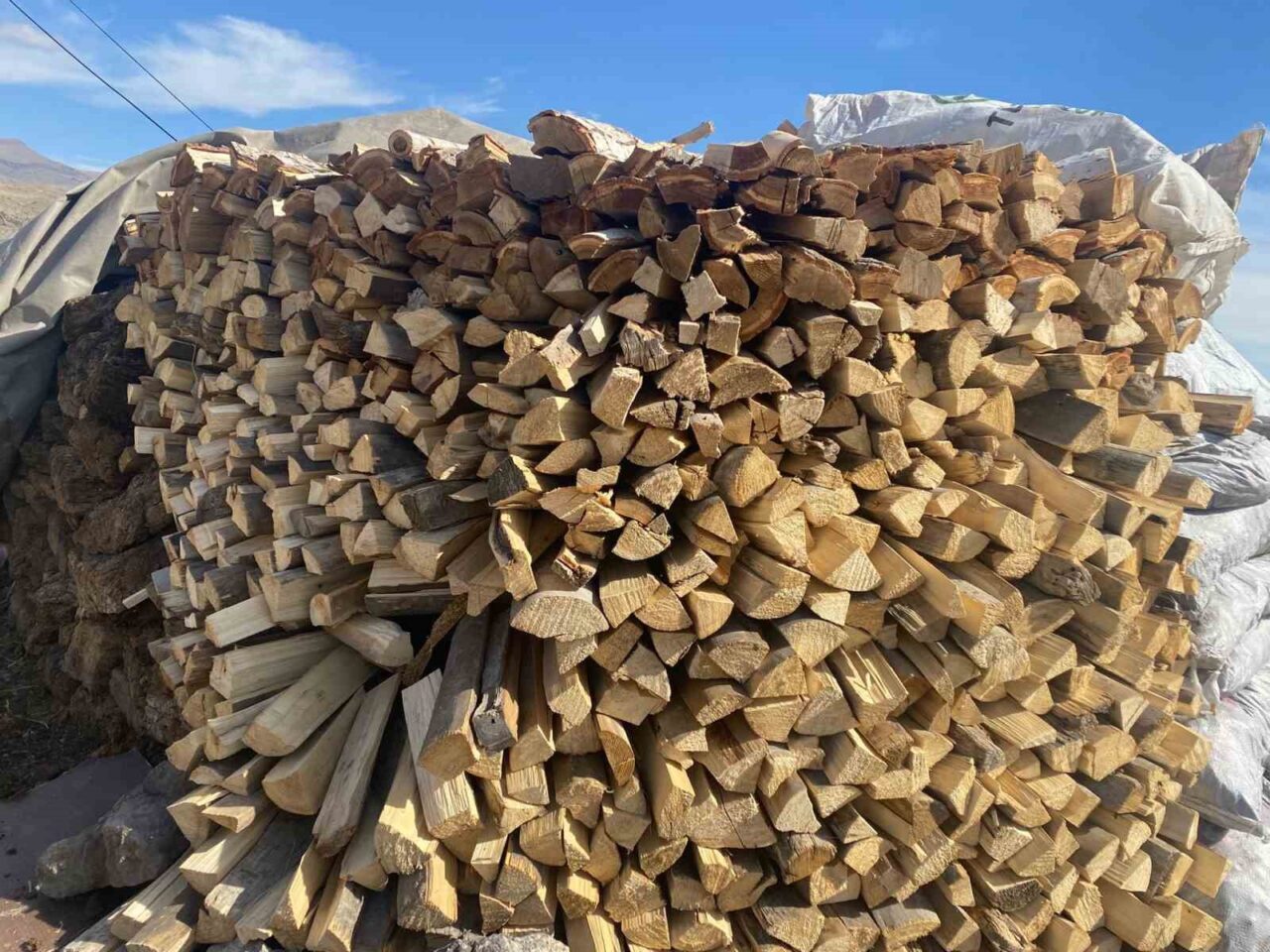 Ağrı'nın Patnos ilçesinde yaklaşan kış için vatandaşlar yakacak hazırlıklarına hız