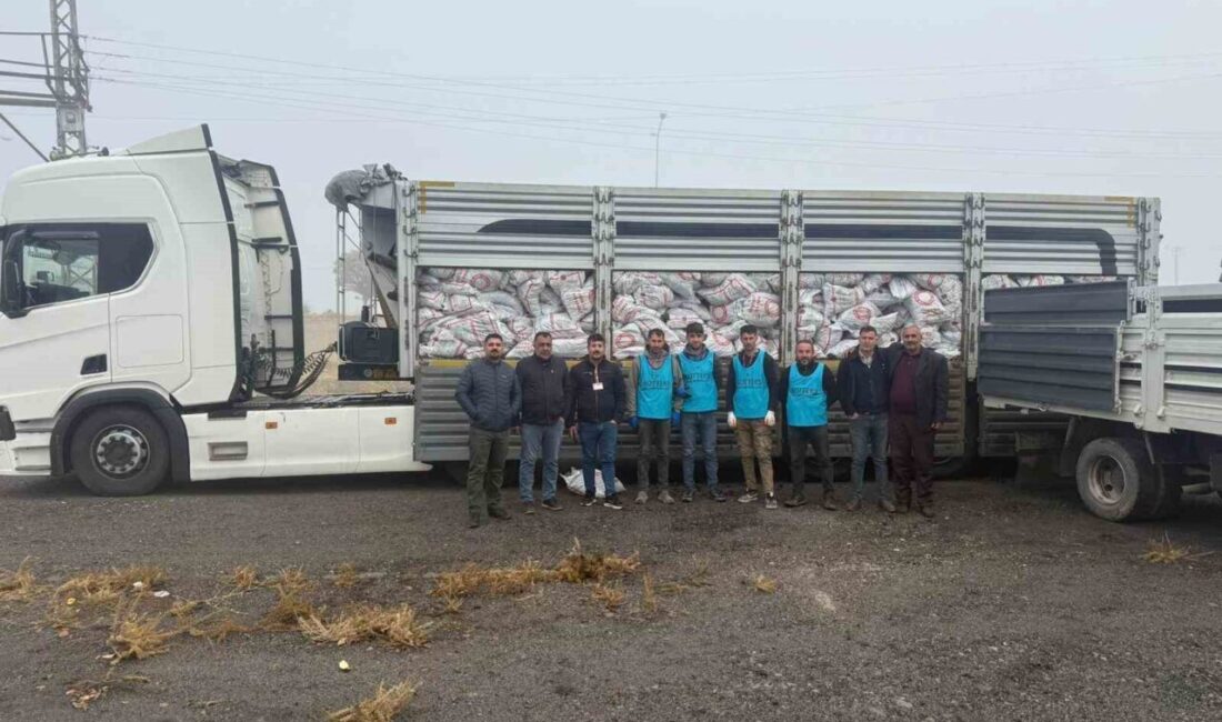 Ağrı'nın Patnos ilçesinde kış öncesi ihtiyaç sahibi ailelere yönelik yoğun