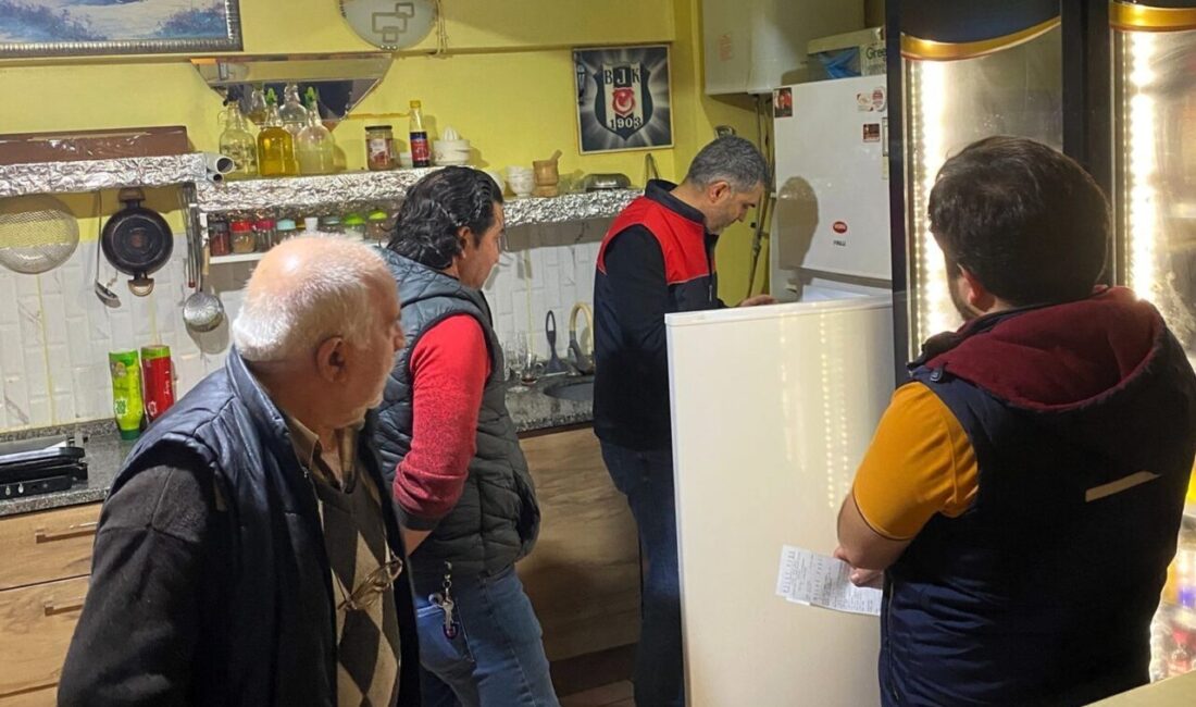 Kırklareli'nin Demirköy ilçesinde gıda işletmelerine yönelik denetimler devam ediyor. Pınarhisar