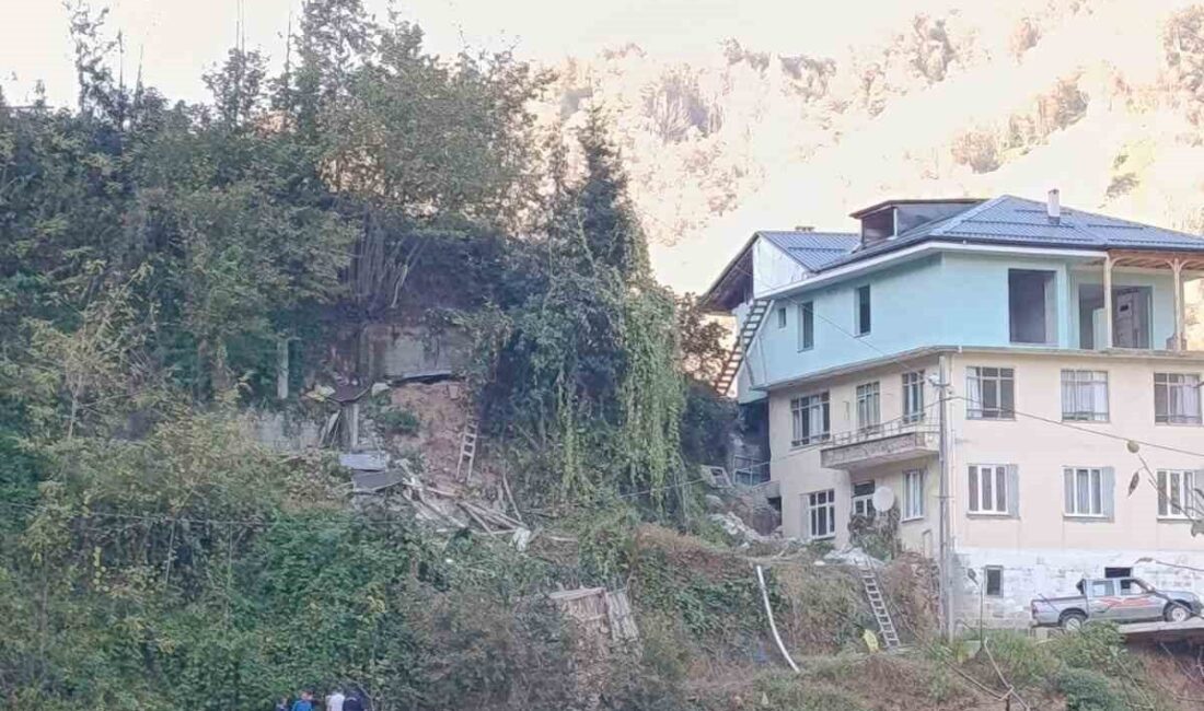 Rize'nin Çayeli ilçesindeki Erenler köyünde, arı kovanları için kullanılan ahşap