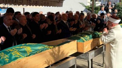 Rize'nin Çayeli ilçesinde Erenler köyünde arı kovanları için kurulan ahşap