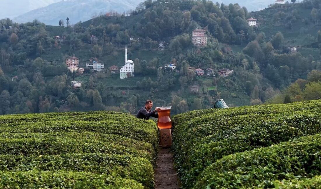 Rize'de Yusuf Albayrak ve Furkan Balkan, dev çay bardağıyla çektikleri