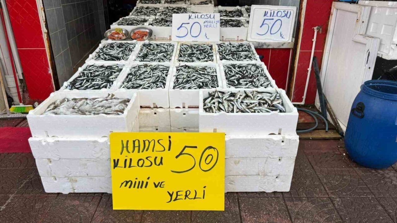 Rize'de hamsinin kilogram fiyatı 50 TL'ye düştü. Balıkçılar, bu sezon