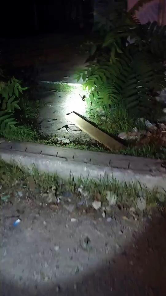 Sakarya'da İl Emniyet Müdürlüğü, uyuşturucu ile ilgili mücadele kapsamında metruk