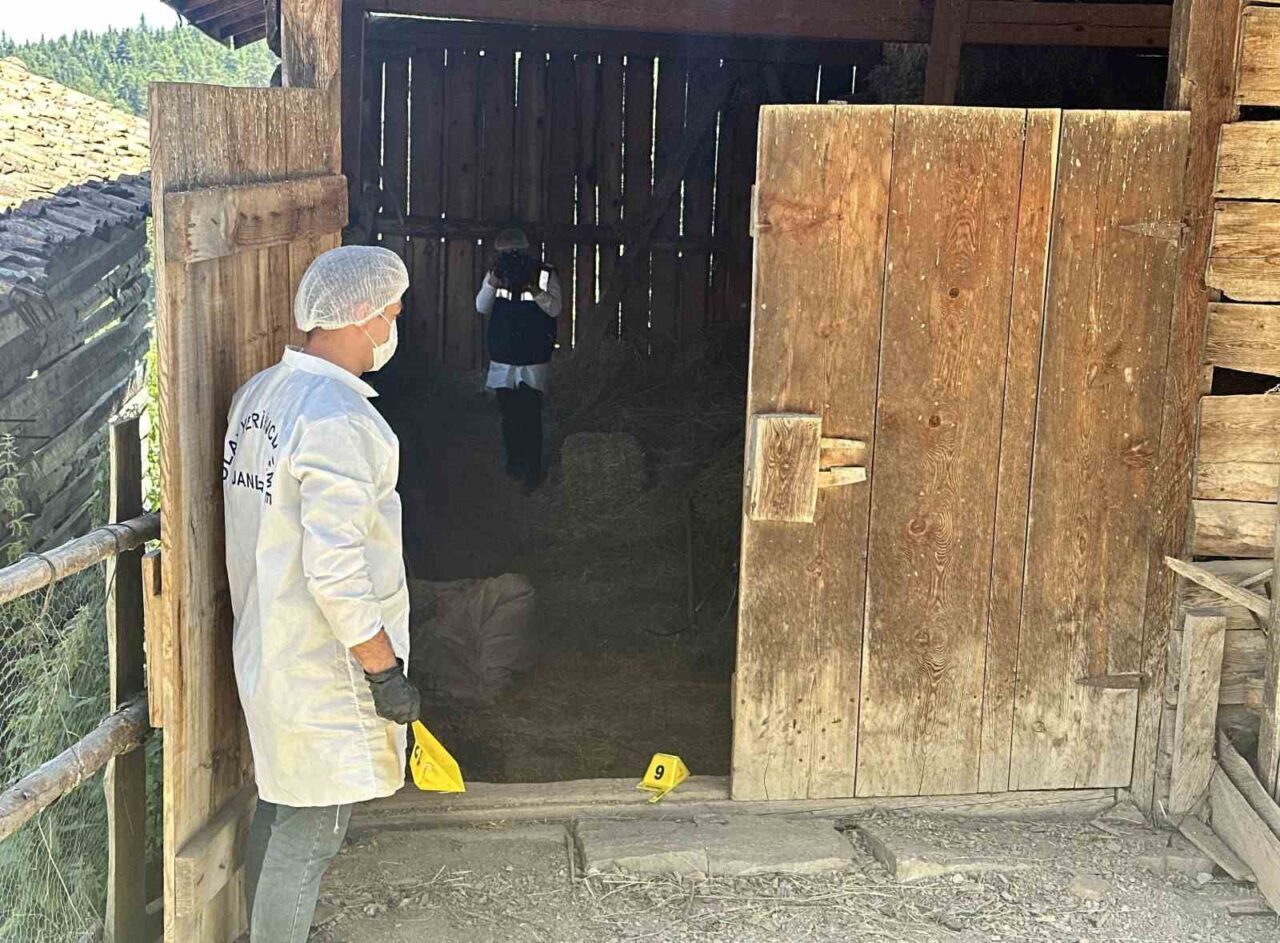 Kastamonu'da, 57 yaşındaki Satı Doğruoğlu'nun balta ile öldürülüp çuvalda dereye