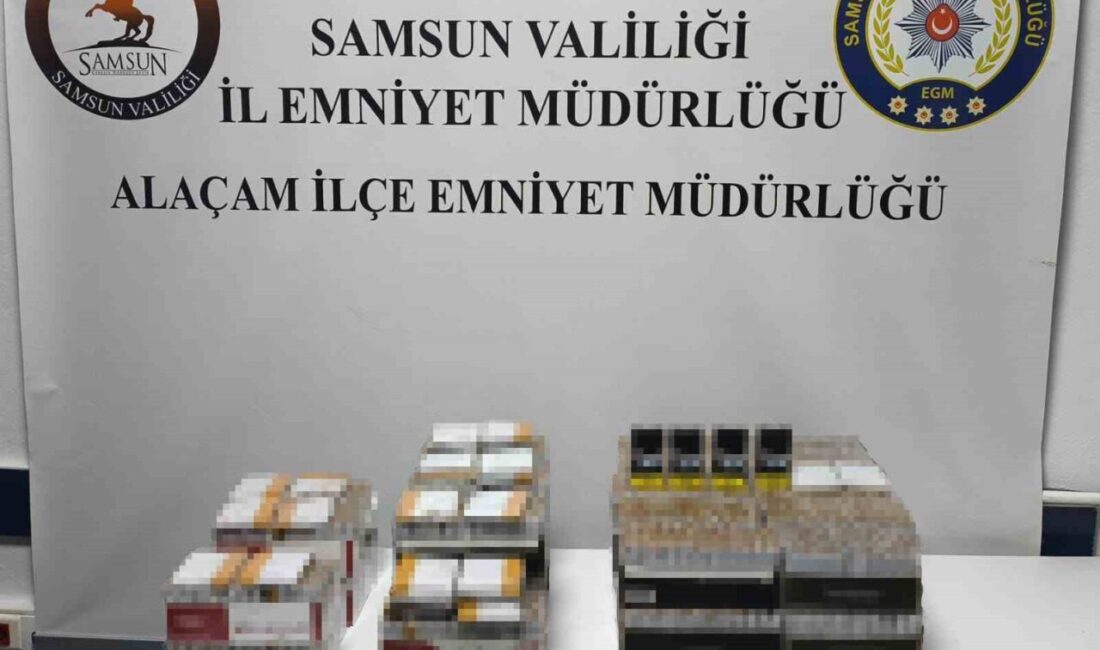 Samsun'un Alaçam ilçesinde düzenlenen operasyonda, polis ekipleri 44 yaşındaki S.P.'nin