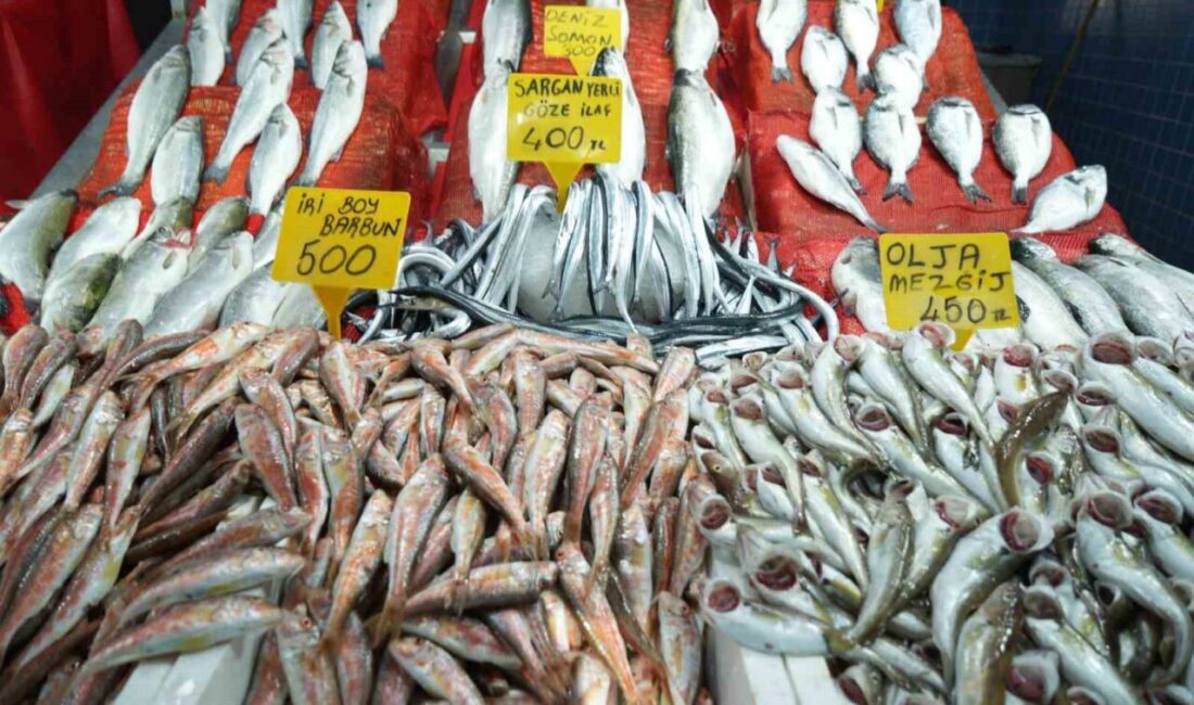 Samsun’da Balık Pazarında Fiyatlar Yüksek, Ancak Hamsi İlgi Gördü Samsun Büyükşehir Belediyesi Balık Hali'nde, tezgâhlar zengin ancak fiyatlar oldukça